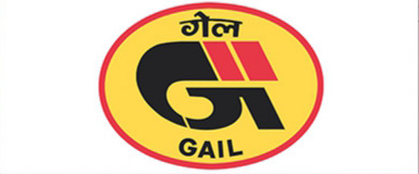 partner image