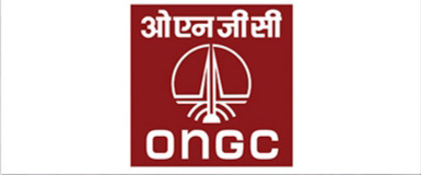 partner image
